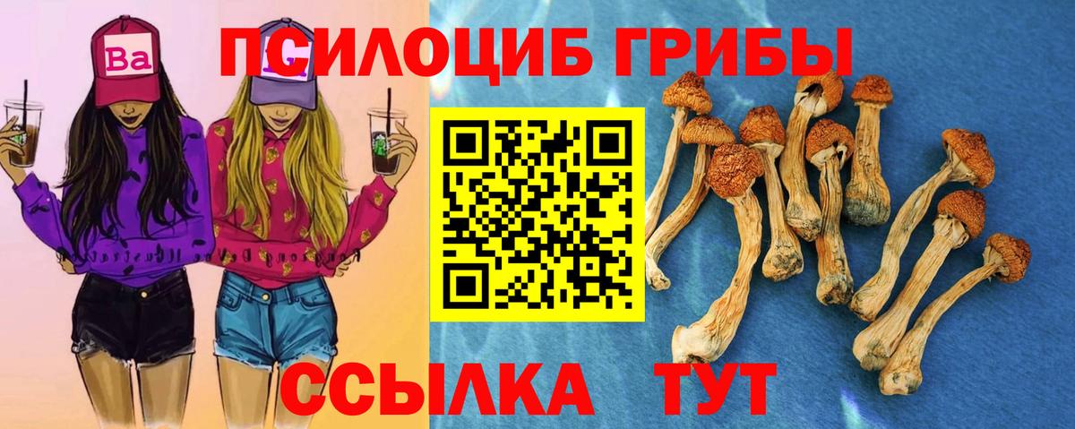 Галлюциногенные грибы Psilocybine cubensis Кириши