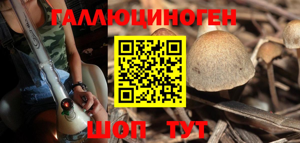 Псилоцибиновые грибы Psilocybine cubensis  Вход с VPN  Кириши 