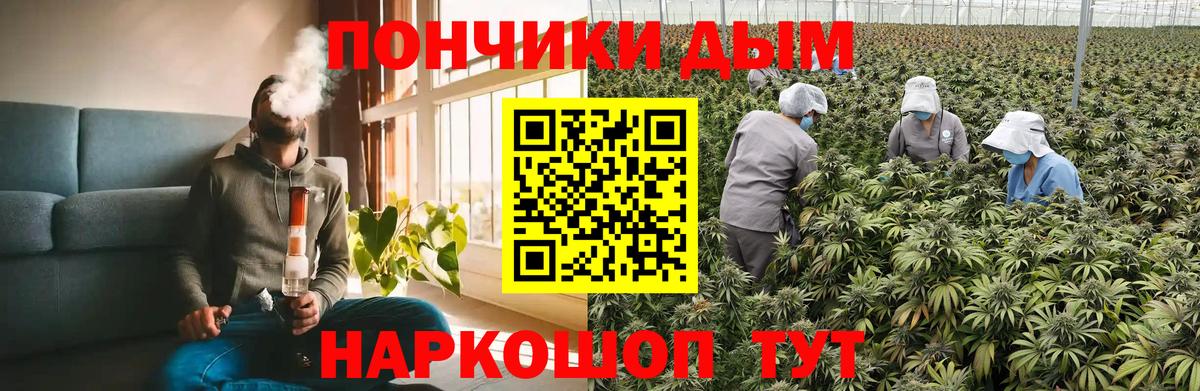 Кириши  Бошки Шишки THC 21%  Конопля AK-47  Вход с VPN 